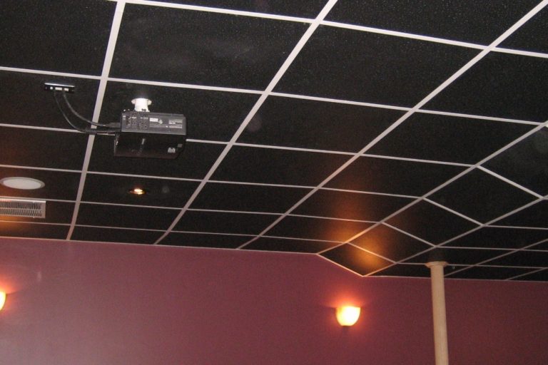 Black Ceiling Tiles Variety of Options InterSource Specialties Co.